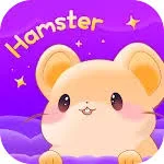 هامستر - Hamster