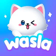 وصلة C